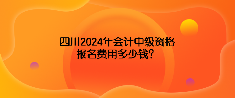 四川2024年會計中級資格報名費用多少錢？