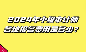 2024年中級(jí)審計(jì)師各地報(bào)名費(fèi)用是多少？