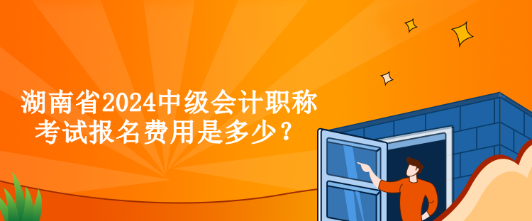 湖南省2024中級(jí)會(huì)計(jì)職稱考試報(bào)名費(fèi)用是多少？