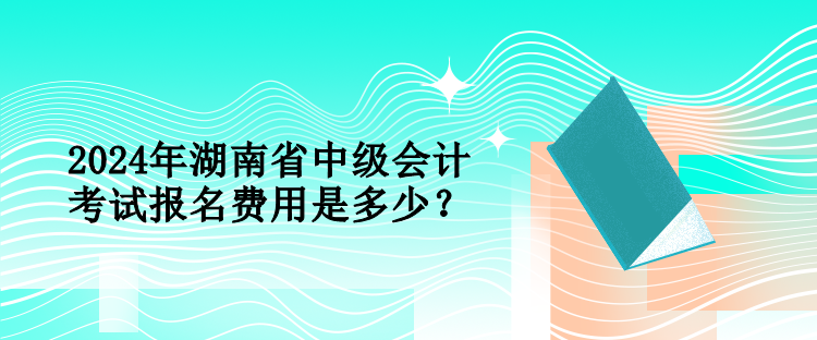 2024年湖南省中級會計考試報名費用是多少？