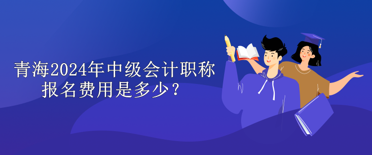 青海2024年中級會(huì)計(jì)職稱報(bào)名費(fèi)用是多少？