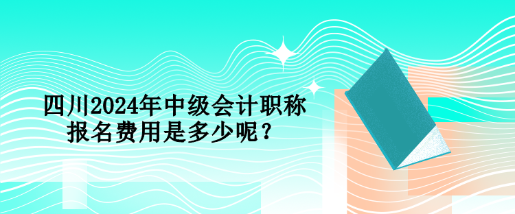 四川2024年中級(jí)會(huì)計(jì)職稱報(bào)名費(fèi)用是多少呢？