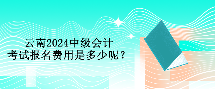 云南2024中級會計考試報名費用是多少呢？