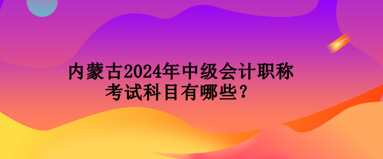 內(nèi)蒙古2024年中級(jí)會(huì)計(jì)職稱考試科目有哪些？